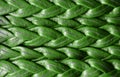 Background of a woven leather strap close-up Royalty Free Stock Photo