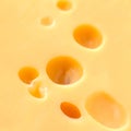 Background of yellow cheese