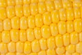 Background of yellow corn grains on the colb macro Royalty Free Stock Photo