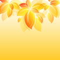 Background with yellow leaves