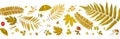 Background by yellow leaves and orange leaves and dry leaves and flower Royalty Free Stock Photo