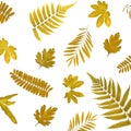 Background by yellow leaves and orange leaves and dry leaves and flower Royalty Free Stock Photo