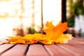 Background of yellow leaves on wooden table. Autumn mood. Blurred effect. Copy space Royalty Free Stock Photo