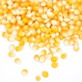 Background of yellow maize corn kernels ready for making popcorn Royalty Free Stock Photo