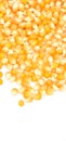 Background of yellow maize corn kernels ready for making popcorn Royalty Free Stock Photo