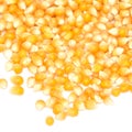 Background of yellow maize corn kernels ready for making popcorn Royalty Free Stock Photo