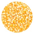 Background of yellow maize corn kernels ready for making popcorn Royalty Free Stock Photo