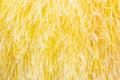 A background of yellow nylon strands.