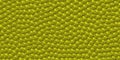 Background with yellow pearls