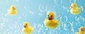 A background with yellow rubber ducks floating in a sea of bubbles on a light blue background, Royalty Free Stock Photo
