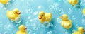 A background with yellow rubber ducks floating in a sea of bubbles on a light blue background, Royalty Free Stock Photo