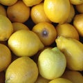 Background of yellow Spanish lemons illuminated by the sun