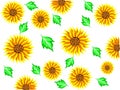 Background of yellow sunflowers flowers with green leaves and behind a white background in vector Royalty Free Stock Photo