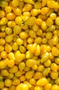 Background of yellow tomato Royalty Free Stock Photo
