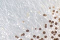 Colony Characteristics of Fungus Rhizopus in petri dish for education. Royalty Free Stock Photo