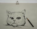 Art Drawing Fine art Sketch Cute Cat Thailand , pencil