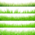 5 Backgrounds Of Green Grass, Isolated On White Background, Vector Illustration Royalty Free Stock Photo