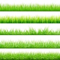 5 Backgrounds Of Green Grass, Isolated On White Background, Vector Illustration Royalty Free Stock Photo