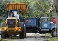 Backhoe picking up tree damage after storm and placing in dumptruck