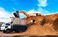 Backhoe standing on big pile of wood chips loading up into truck. Woodchips raw material storing and transportation.