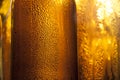 Backlight beer bottles Royalty Free Stock Photo