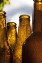 Backlight beer bottles Royalty Free Stock Photo