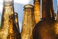 Backlight beer bottles Royalty Free Stock Photo