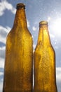 Backlight beer bottles Royalty Free Stock Photo