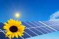 Solar Panel Energy with Sunflower Royalty Free Stock Photo