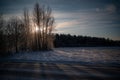 Backlight through branches a cold snowy morning Royalty Free Stock Photo