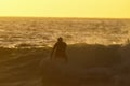 Back light Silhouette Surfer