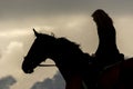 Backlit silhouette of a girl riding a horse at sunset Royalty Free Stock Photo