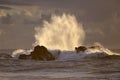 Backlit big wave splash at sunset Royalty Free Stock Photo