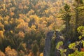 Backlit cliff with pines above trees in fall color on Oberg Moun