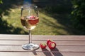 Backlit glass with sparkling wine and strawberries Royalty Free Stock Photo