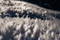 Backlit ice crystal on the snow in winter nature backlit by evening sun Royalty Free Stock Photo