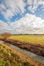 Dutch polder landscape in wintertime Royalty Free Stock Photo