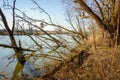 Backlit image of a flooded rural area