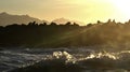 Backlit image of seals during sunrise. Colony of seals  Cape Fur Seals, Arctocephalus pusillus  on the rocky island in the ocean Royalty Free Stock Photo