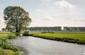 Backlit image of a typical Dutch polder landscape. Royalty Free Stock Photo
