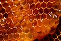 Backlit Image of Wax Honeycomb: Concept for Illuminating Nature\'s Geometry, Sweet Food Medicine