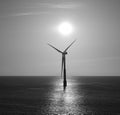 Backlit offshore turbine at dawn