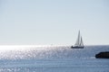 Backlit sailboat on bright and sunny sea with horizon Royalty Free Stock Photo