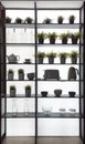 Backlit shelf with various kitchenware silhouettes. Glass jars teapot kettle pot plant on the wooden shelf white wall Royalty Free Stock Photo