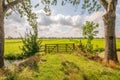 Backlit shot of a closed gate in the foreground of a meadow Royalty Free Stock Photo