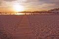 Backlit silhouette figures on the beach