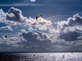 Backlit silhouettes of kitesurfers