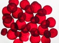 Backlit slices of beetroot, abstract textured background Royalty Free Stock Photo