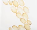 Backlit slices of raw potato, abstract textured background Royalty Free Stock Photo