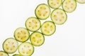 Backlit slices of zucchini, abstract textured background Royalty Free Stock Photo